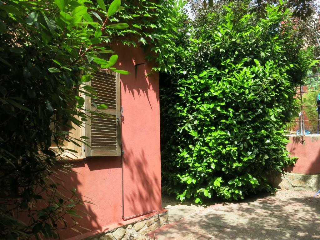 Chalet Navacerrada Piscina Privada Εξωτερικό φωτογραφία